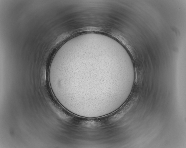 X0000111010253200907061001