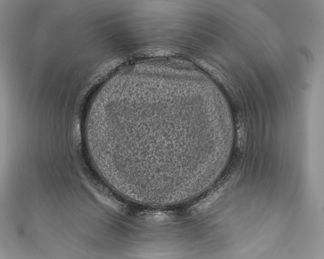 X0000111010254200907061001