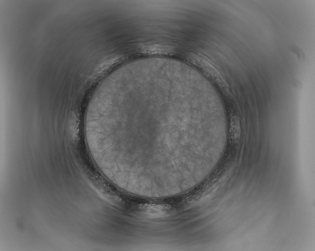 X0000111010255200907061001