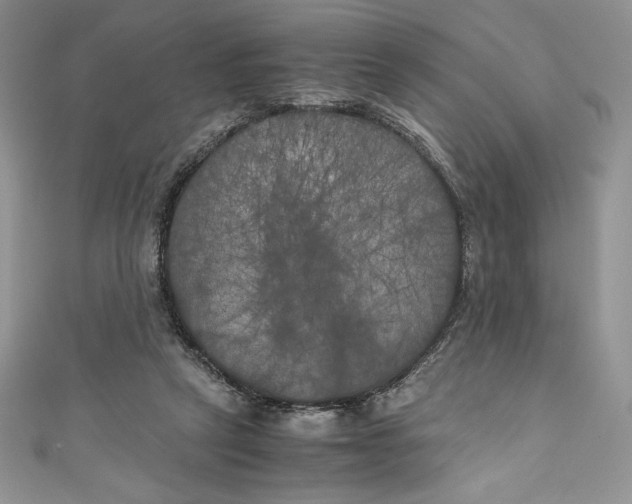 X0000111010257200907061001