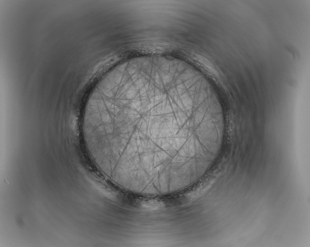 X0000111010258200907061001