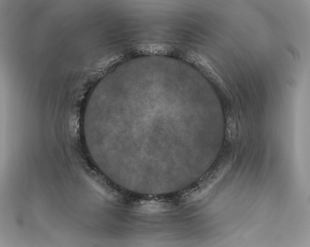 X0000111010259200907061001