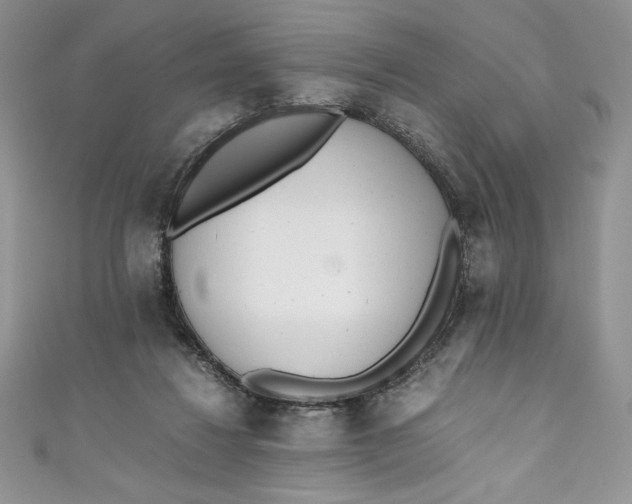 X0000111010260200907061001