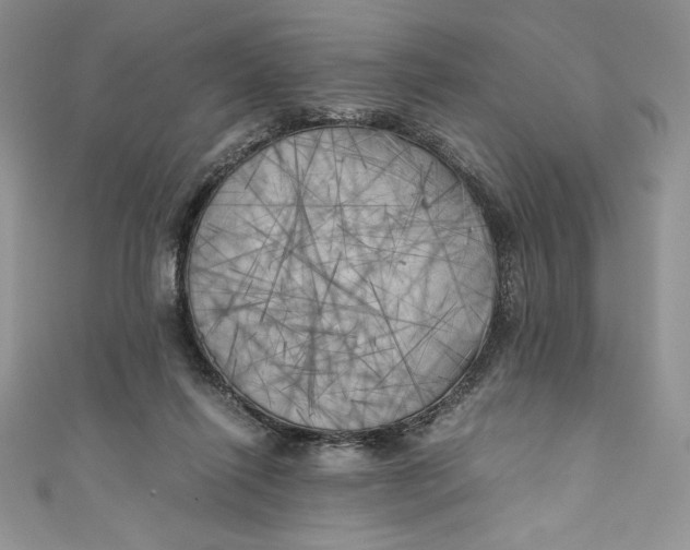 X0000111010262200907061001