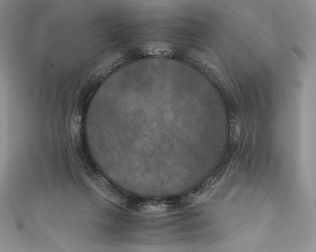 X0000111010263200907061001