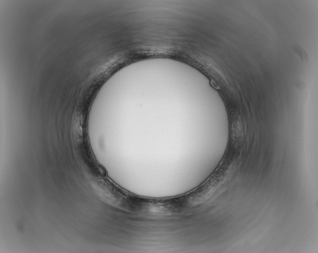 X0000111010264200907061001