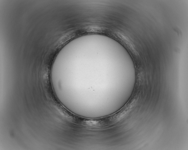 X0000111010265200907061001