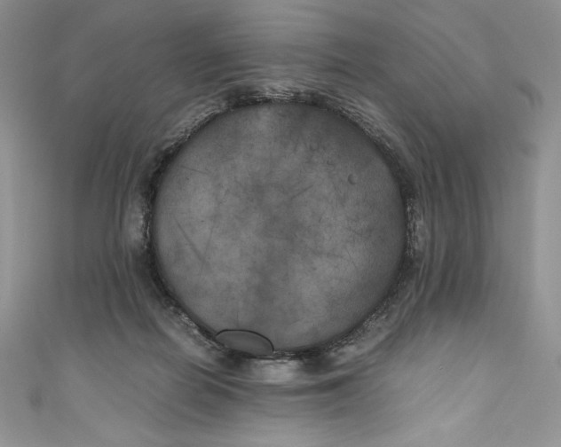 X0000111010266200907061001
