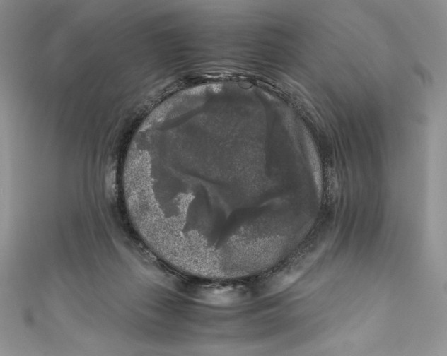 X0000111010267200907061001