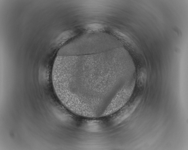 X0000111010268200907061001