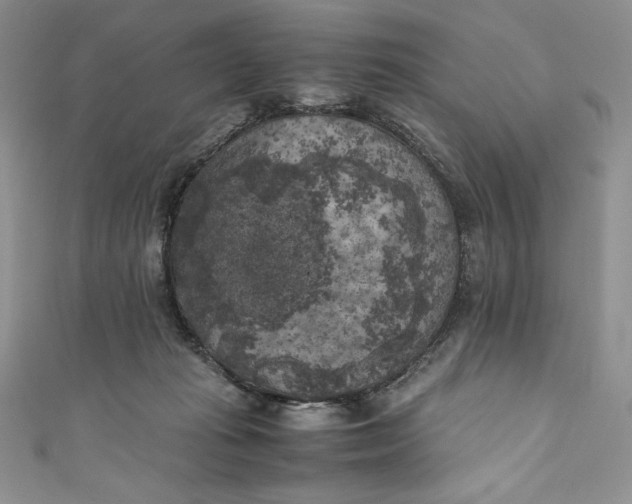 X0000111010269200907061001