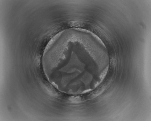 X0000111010271200907061001