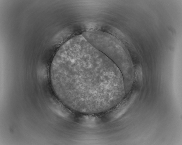 X0000111010272200907061001