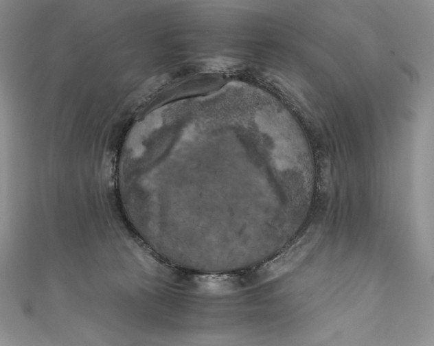 X0000111010273200907061001