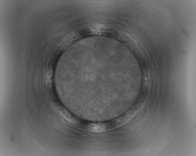 X0000111010275200907061001