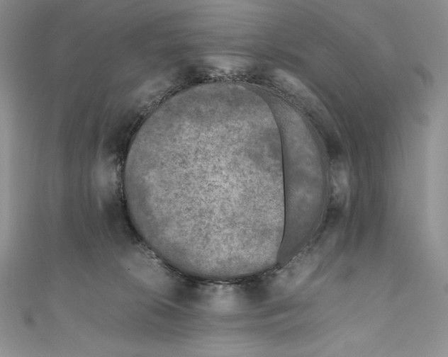X0000111010276200907061001