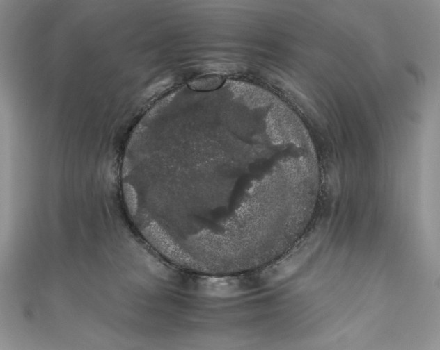 X0000111010277200907061001