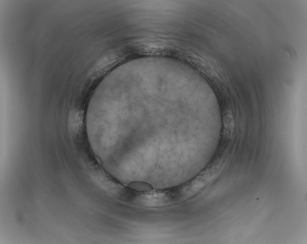 X0000111010278200907061001
