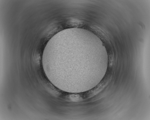 X0000111010279200907061001