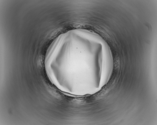 X0000111010280200907061001