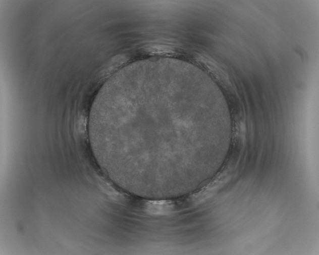 X0000111010281200907061002