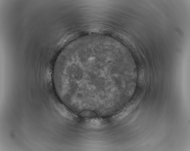 X0000111010282200907061002