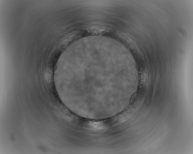X0000111010283200907061002