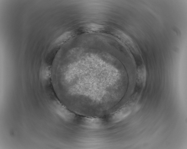 X0000111010284200907061002