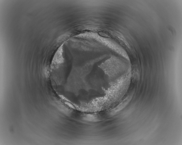 X0000111010285200907061002