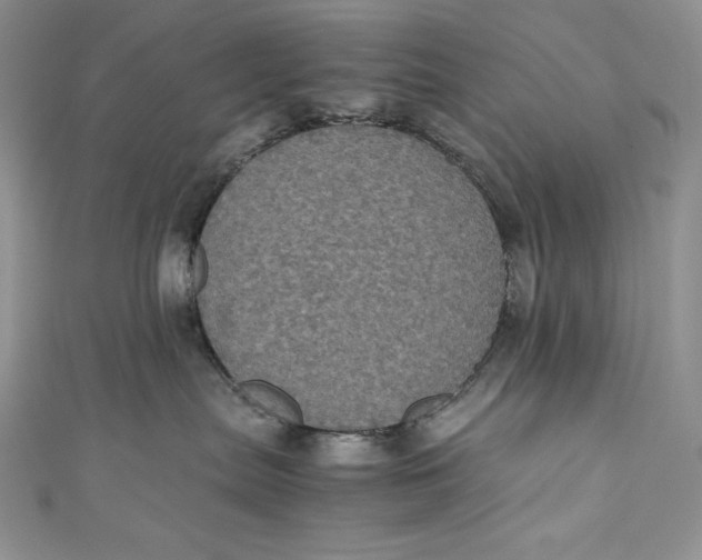 X0000111010287200907061002