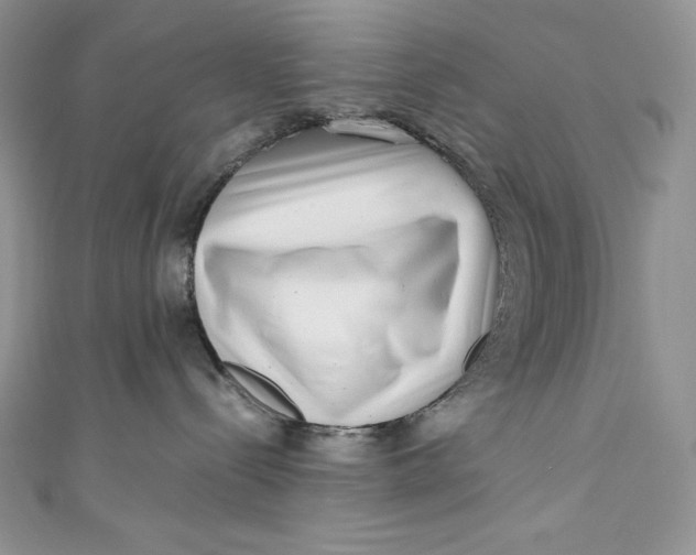 X0000111010288200907061002