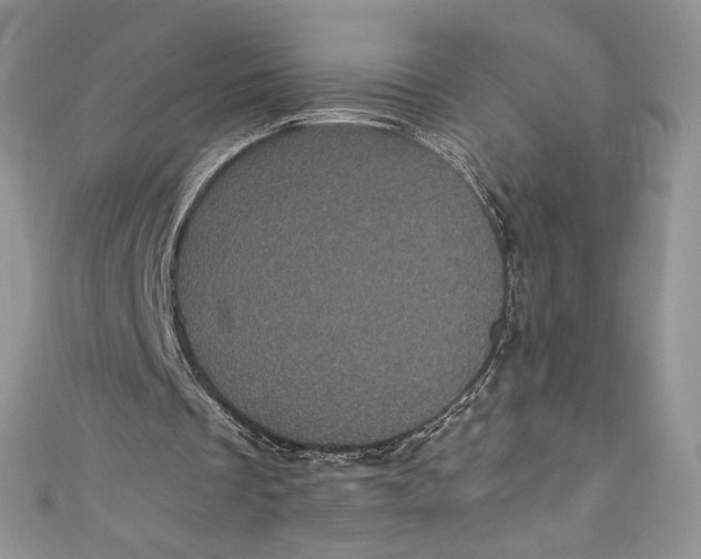 X0000111010289200907061001