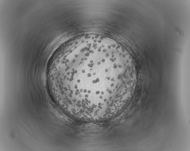 X0000111010290200907061001