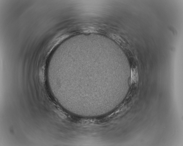 X0000111010291200907061001