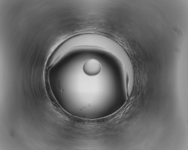 X0000111010292200907061001