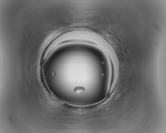 X0000111010293200907061001