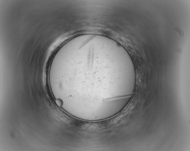 X0000111010294200907061001