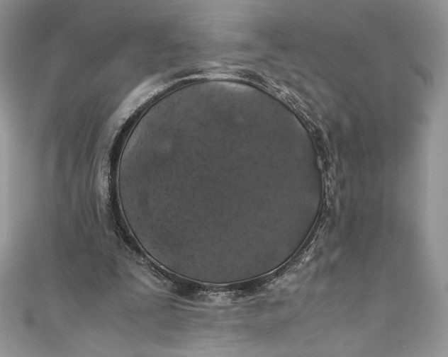 X0000111010295200907061001