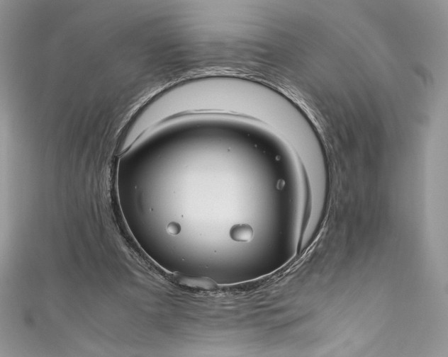X0000111010297200907061001