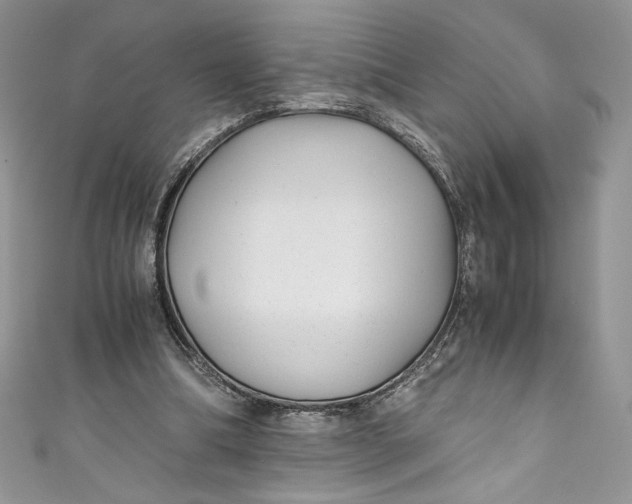 X0000111010298200907061001