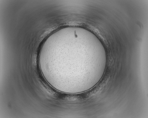 X0000111010299200907061001