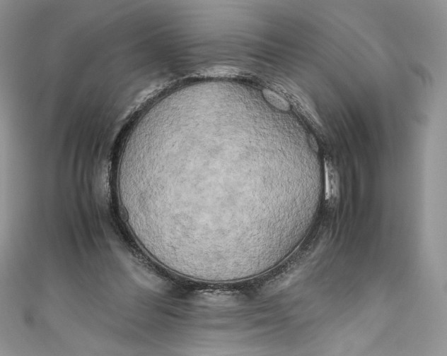 X0000111010300200907061001