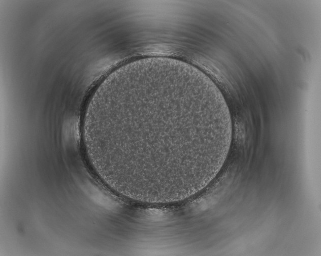 X0000111010302200907061001