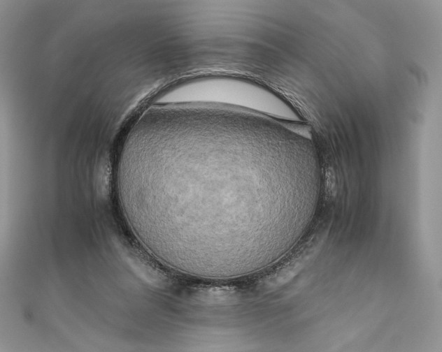 X0000111010304200907061001