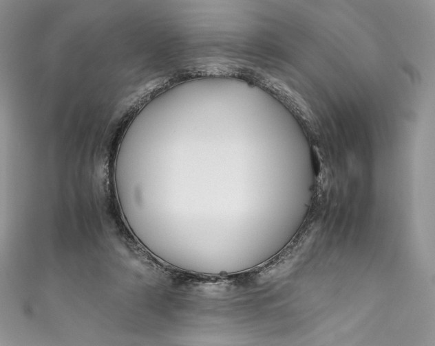 X0000111010306200907061001