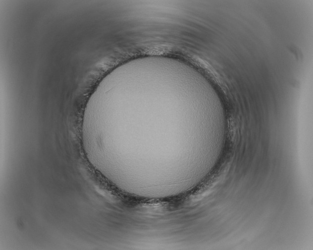 X0000111010307200907061001