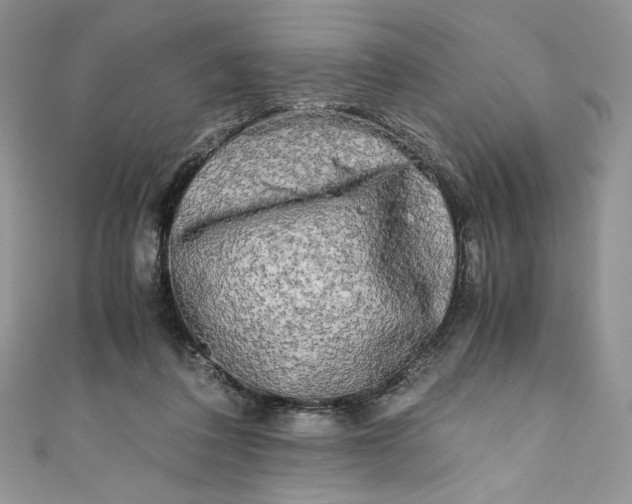 X0000111010308200907061001