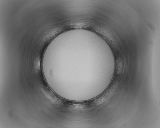 X0000111010310200907061001