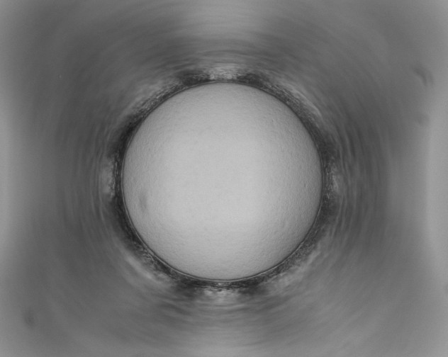 X0000111010311200907061001