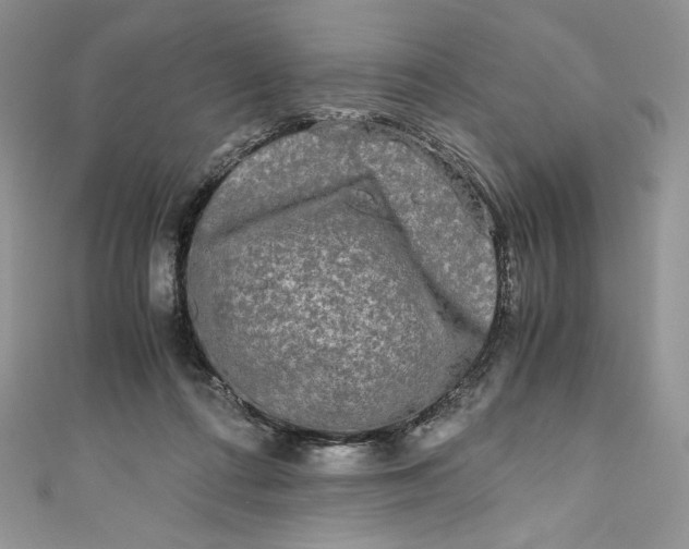 X0000111010312200907061001